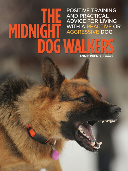 Cover image for The Midnight Dog Walkers